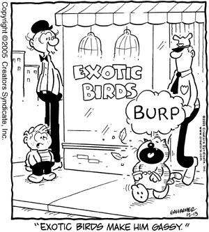 heathcliff